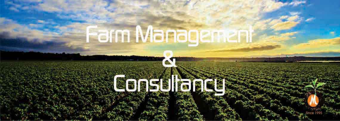 Farm Management and Consultancy by New Malwa Agritech Corporation
